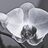 Tela Orquídea 65 X 2 X 95 cm Flor