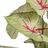 Planta Decorativa Vermelho Verde Pvc 40 X 35 X 55 cm