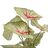 Planta Decorativa Vermelho Verde Pvc 40 X 35 X 55 cm