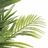 Planta Decorativa Mica Decorations Verde Palmeira (80 X 160 cm)