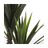 Planta Decorativa Mica Decorations Yucca (120 X 60 cm)