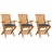 Cadeiras de Jardim C/ Almofadões Antracite 3 pcs Teca Maciça