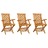 Cadeiras de Jardim C/ Almofadões Verdes 3 pcs Teca Maciça