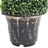 Planta Artificial Buxo em Espiral com Vaso 117 cm Verde