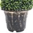 Planta Artificial Buxo em Espiral com Vaso 100 cm Verde