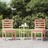 Cadeiras de Jardim 2 pcs 40,5x48x91,5 cm Madeira Douglas Maciça