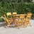 Cadeiras de Jardim Dobráveis 6 pcs 47x61x90 cm Teca Maciça