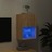 Móvel de Tv com Luzes LED 40,5x30x60 cm Carvalho Sonoma