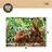 Puzzle Colorbaby Orangutan 6 Unidades 68 X 50 X 0,1 cm